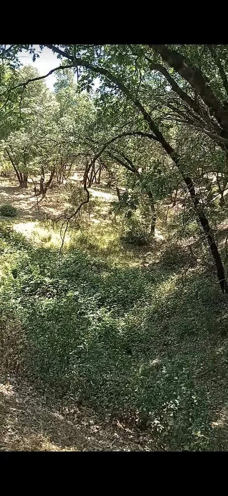 Custom residential landscaping in Shingle Springs, CA by Pro Properties Cleaning & Services