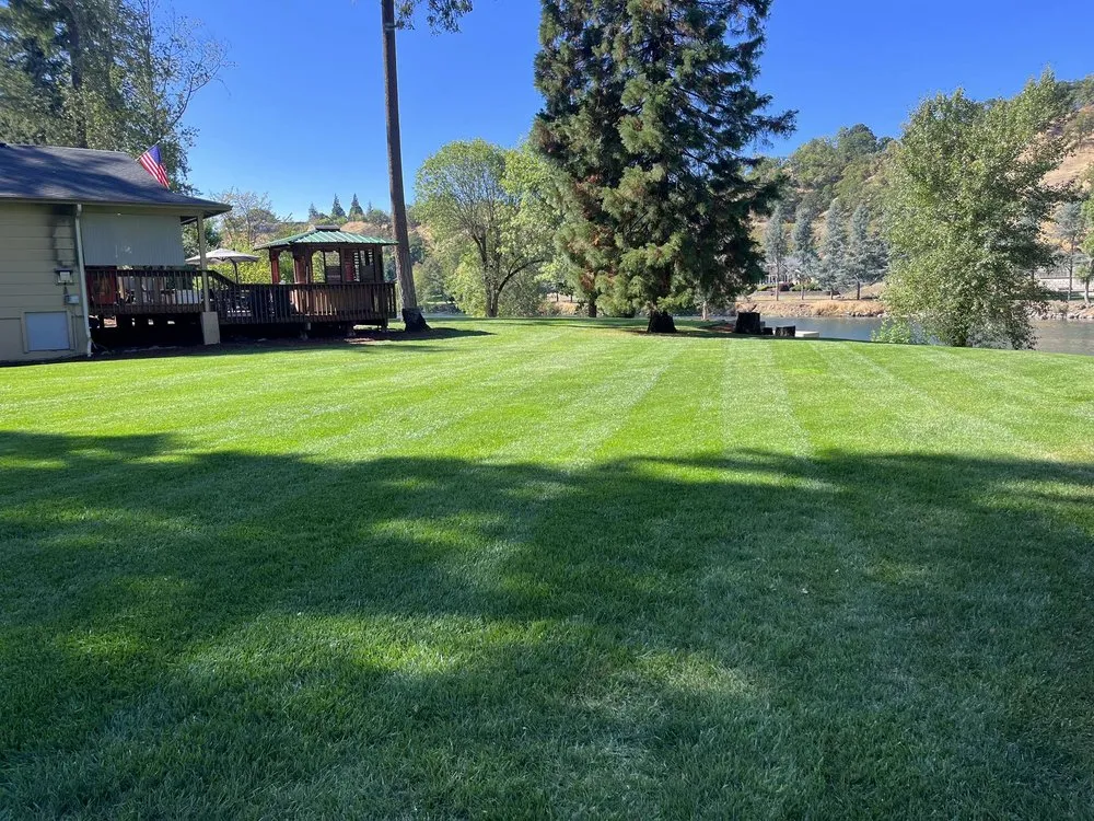 Top-rated yard cleanup service for outdoor upgrades across Roseburg North, OR - Pro property Improvements