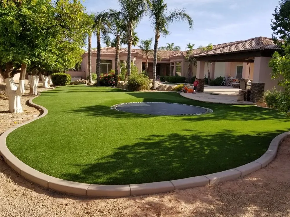 Reliable yard maintenance in Phoenix, AZ by Pro Putt Construction