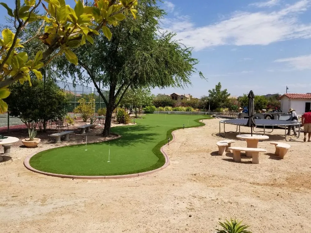 Professional yard maintenance for year-round maintenance in Phoenix, AZ by Pro Putt Construction