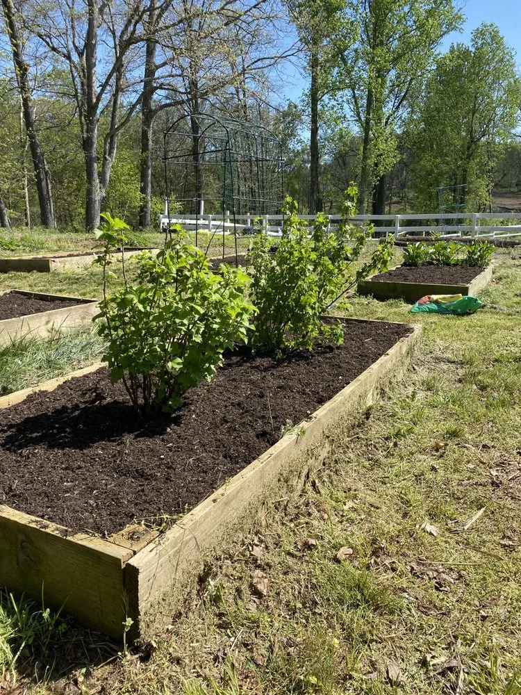 Reliable residential landscaping in Leesburg, VA by Pro Quality Services