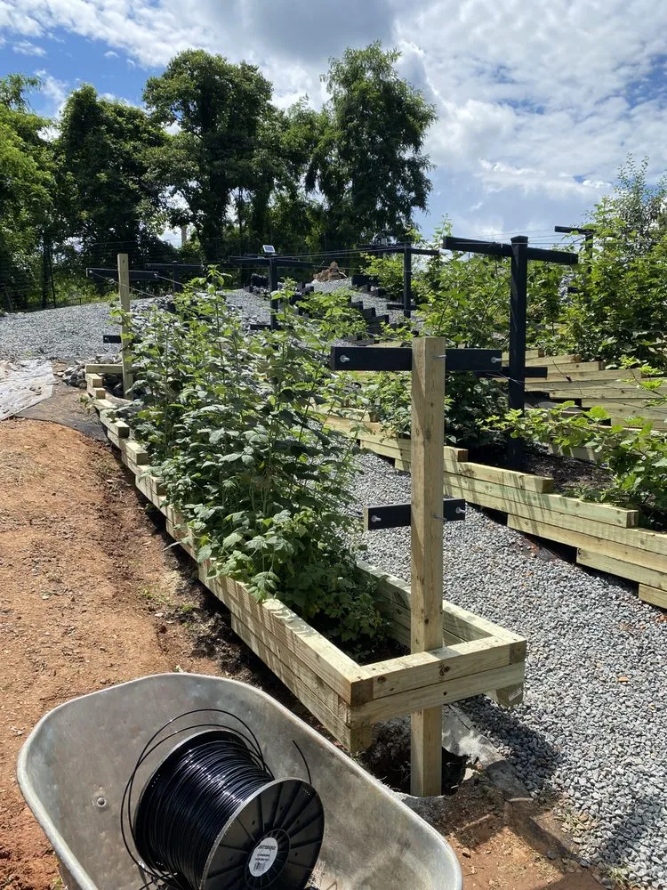 Reliable garden landscaping with custom design across Leesburg, VA - Pro Quality Services