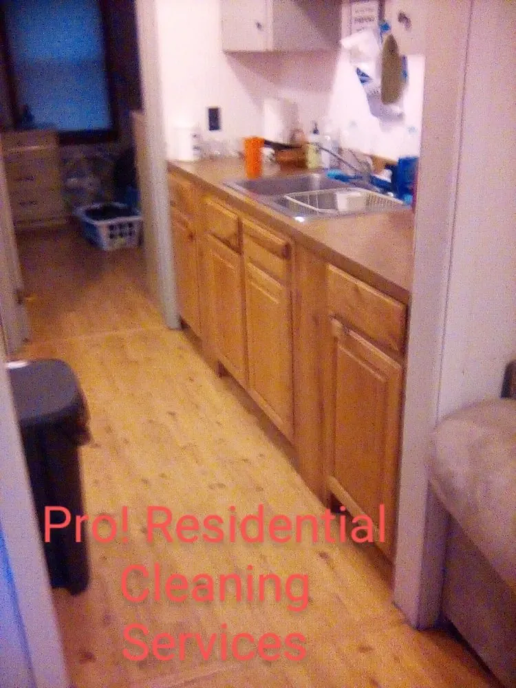 Expert yard cleanup service in Brevard, NC by Pro Residential Cleaning