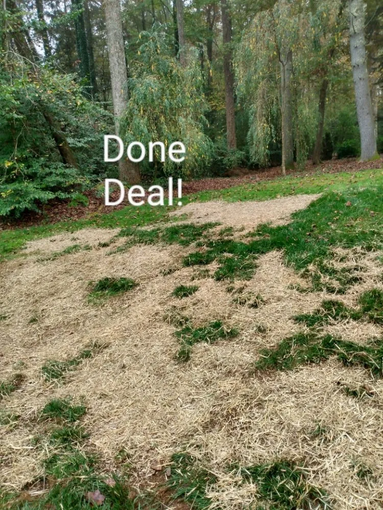 Reliable landscape installation in Brevard, NC - Pro Residential Cleaning