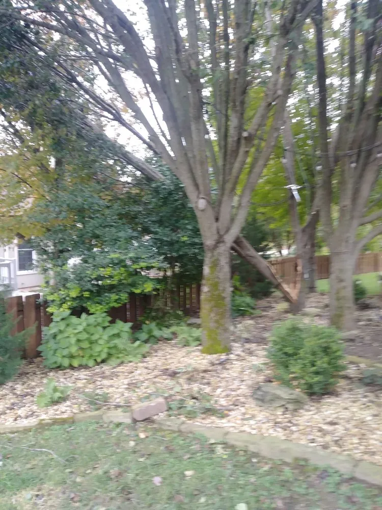 Trusted lawn mowing service experts serving Springfield, MO - Pro Results Lawn & Tree Service