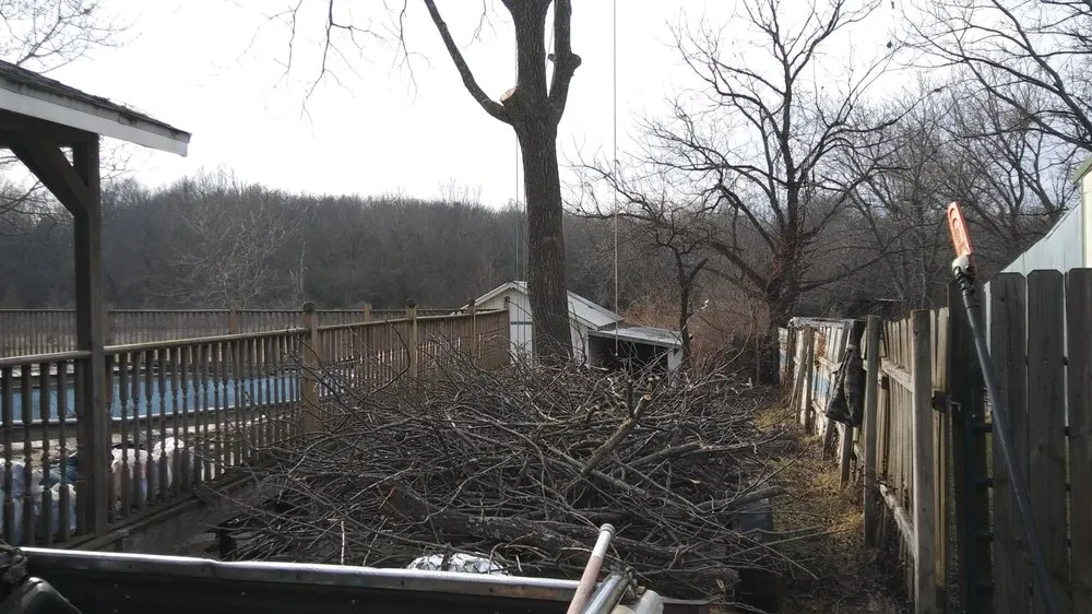 Reliable landscape design experts serving Springfield, MO - Pro Results Lawn & Tree Service