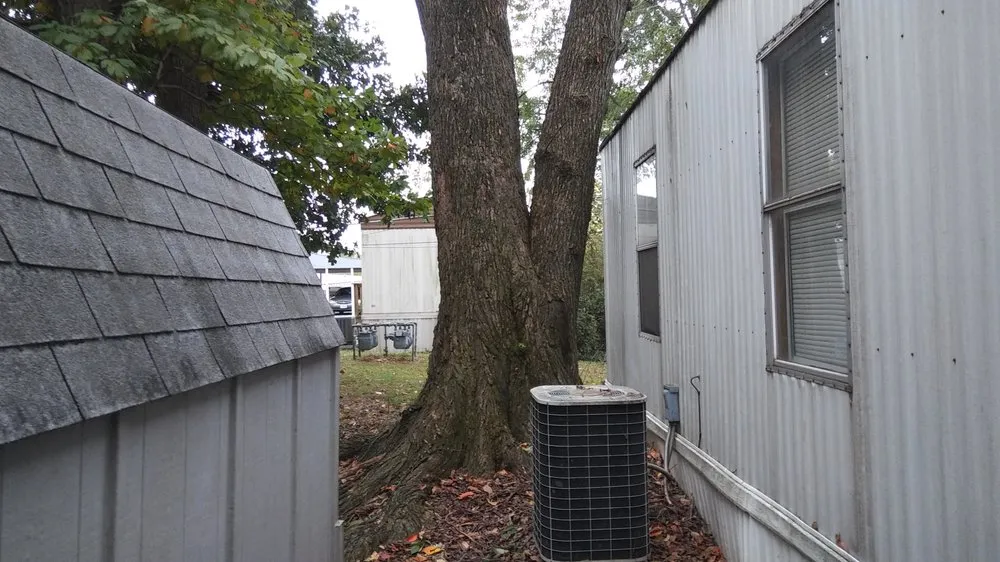 Trusted yard cleanup service experts serving Springfield, MO - Pro Results Lawn & Tree Service