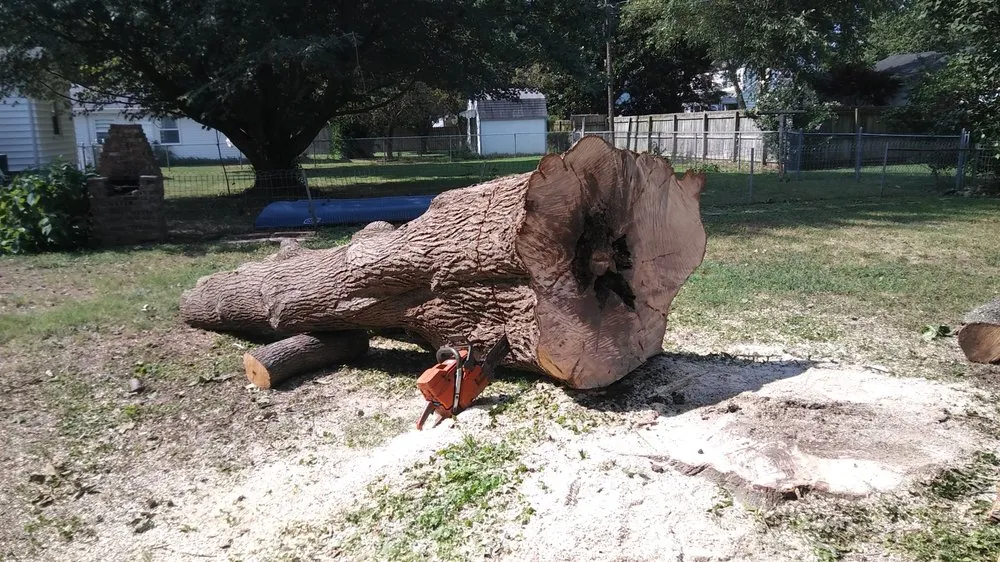 Expert landscape installation in Springfield, MO by Pro Results Lawn & Tree Service