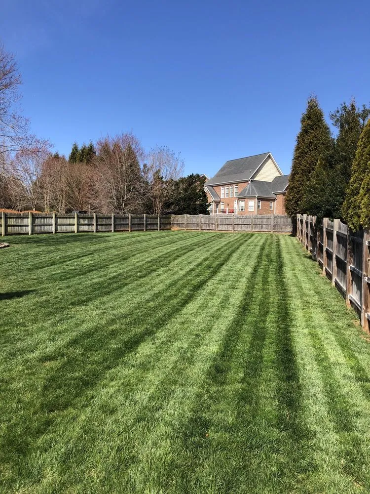Top-rated yard cleanup service in Oak Ridge, NC by Pro Ridge Landscapes