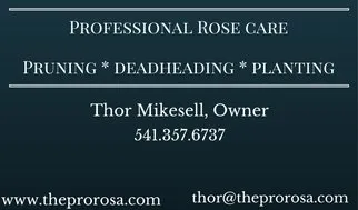 Custom garden landscaping for year-round maintenance across Eugene, OR - Pro Rosa