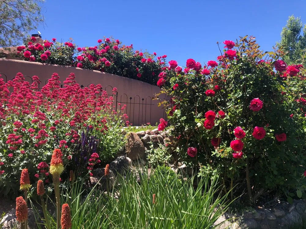 Professional lawn mowing service with custom design across Albuquerque, NM - Pro Scape