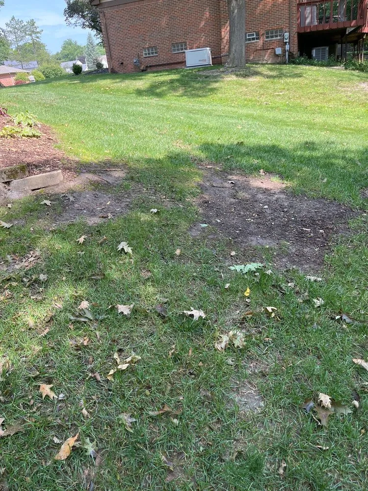 Reliable lawn mowing service in Rochester Hills, MI - Pro-Scape Landscaping