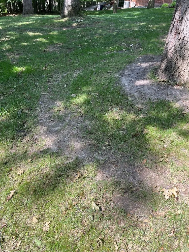 Local landscape installation for beautiful yards across Rochester Hills, MI - Pro-Scape Landscaping