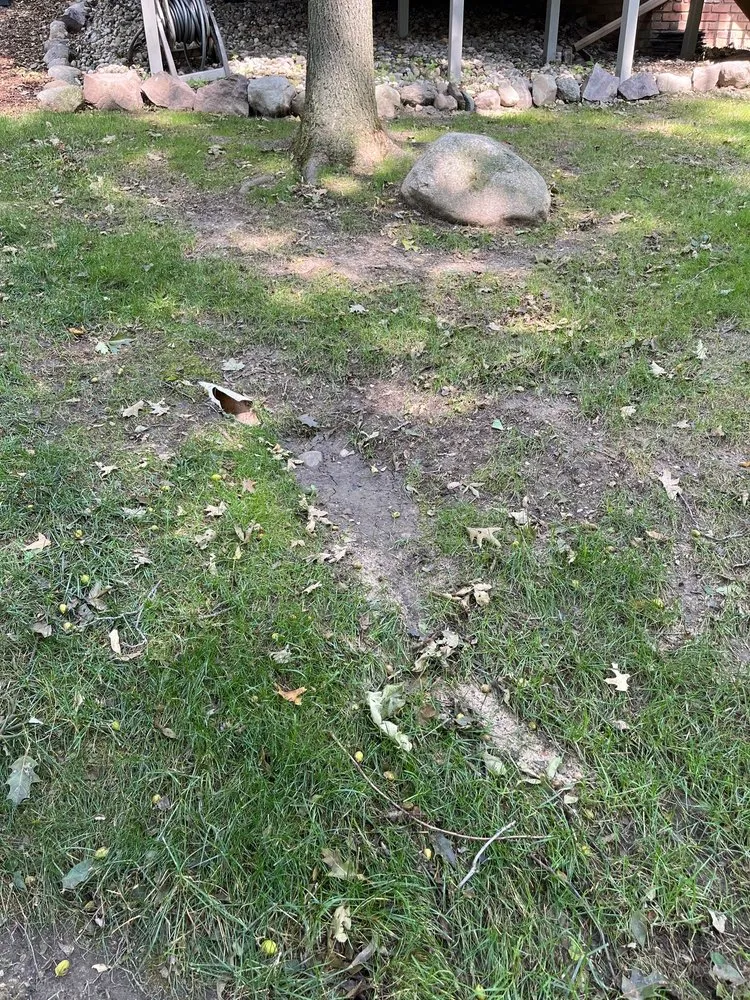 Trusted outdoor landscaping for year-round maintenance in Rochester Hills, MI by Pro-Scape Landscaping