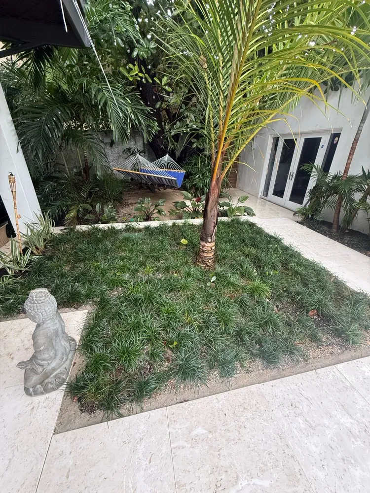 Expert landscape design for year-round maintenance across Miami, FL - Pro Scape