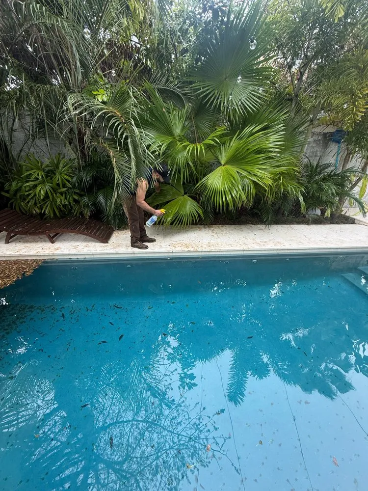 Top-rated residential landscaping experts serving Miami, FL - Pro Scape