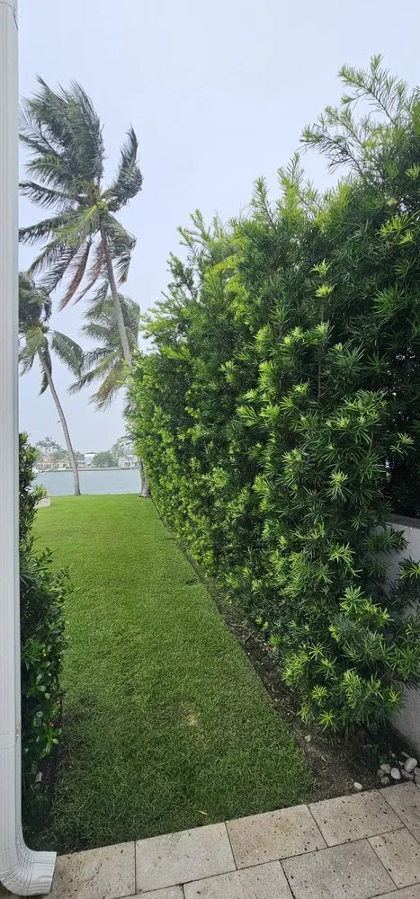 Affordable garden landscaping in Miami, FL - Pro Scape