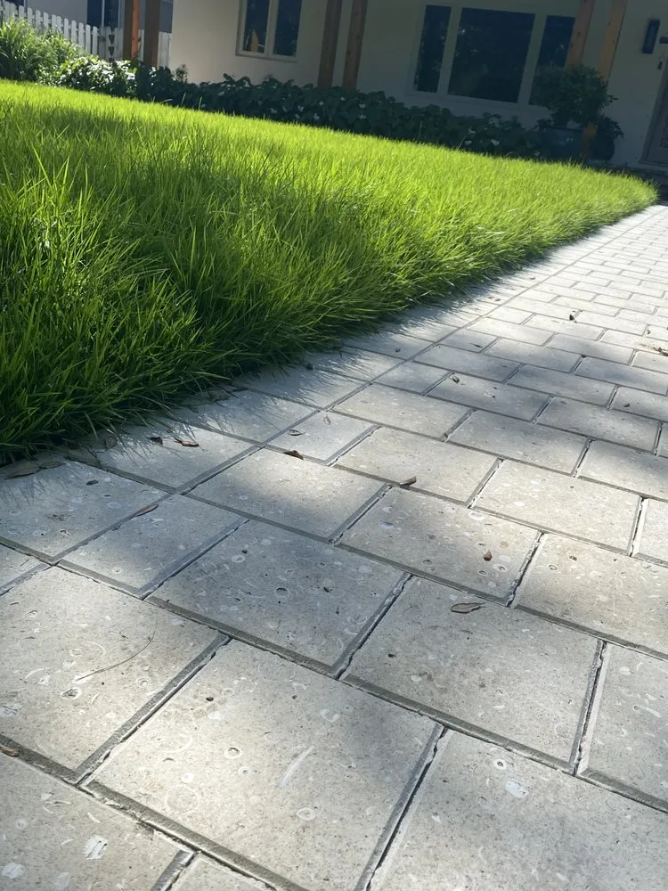 Local garden landscaping in Miami, FL - Pro Scape