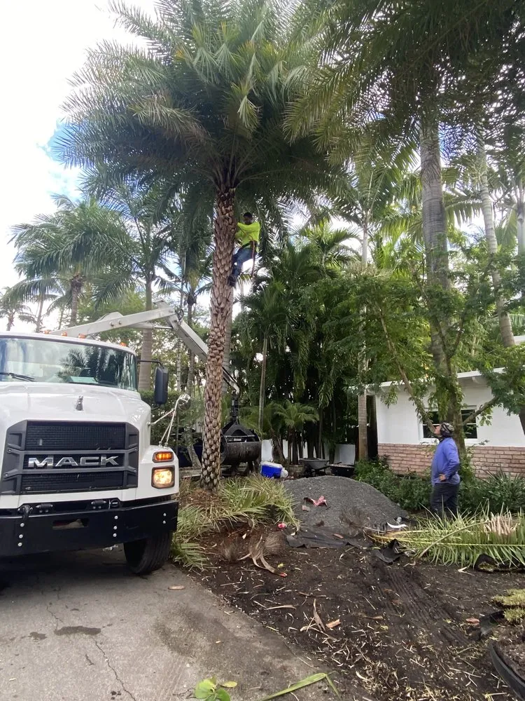 Top-rated yard cleanup service in Miami, FL by Pro Scape