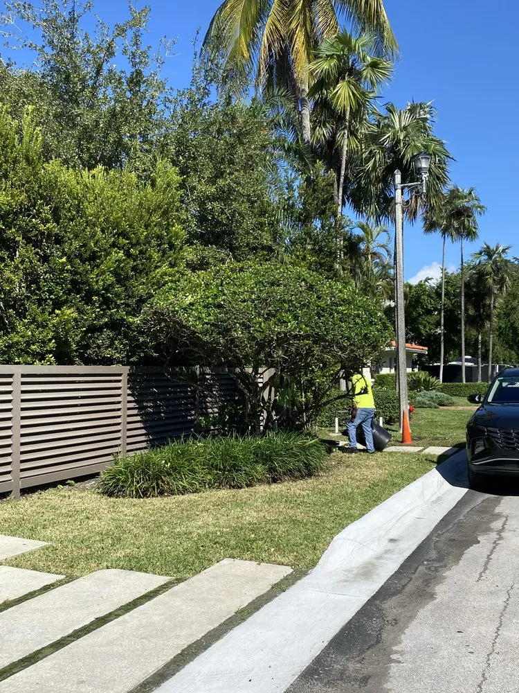 Custom landscape design in Miami, FL - Pro Scape