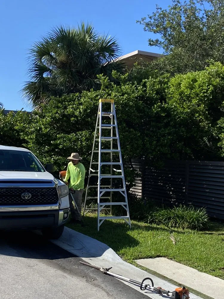 Professional landscape design in Miami, FL by Pro Scape