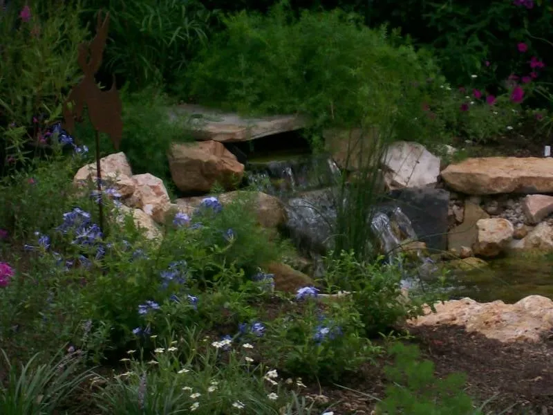 Professional yard cleanup service experts serving Windcrest, TX - Pro Scape