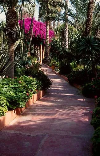 Affordable lawn care service experts serving Windcrest, TX - Pro Scape