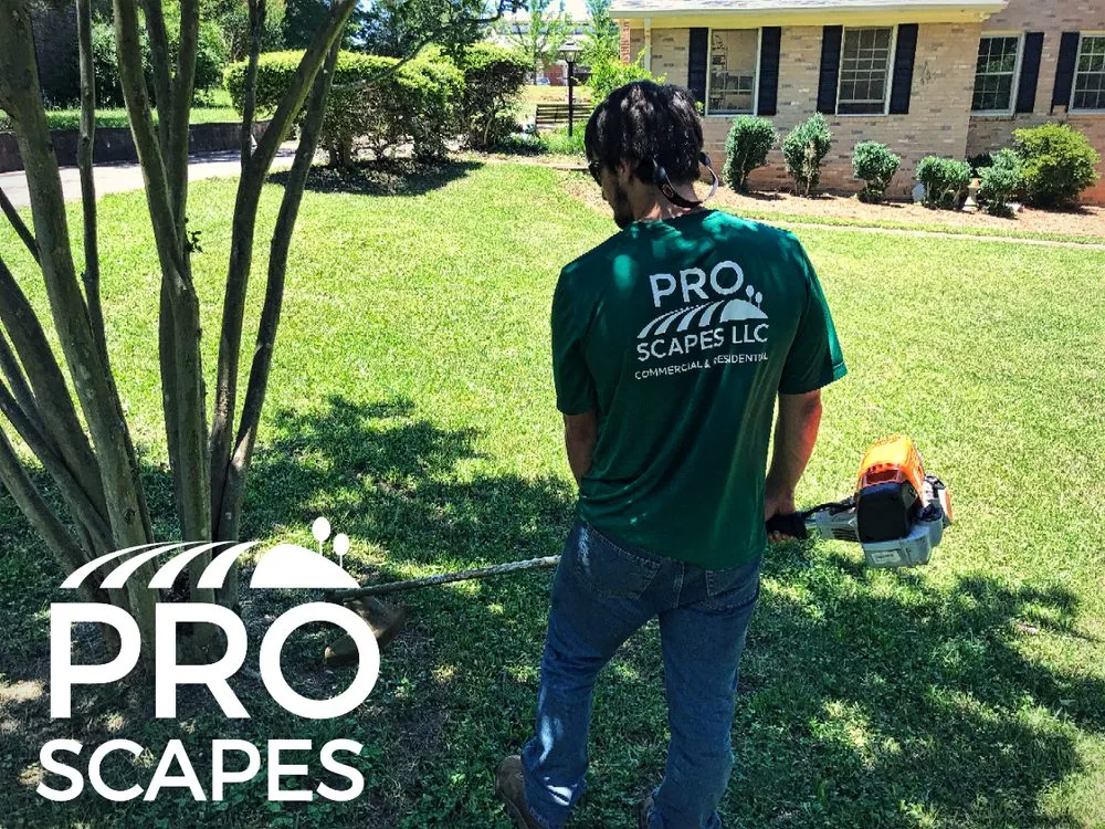 Reliable garden landscaping experts serving Athens, GA - Pro Scapes