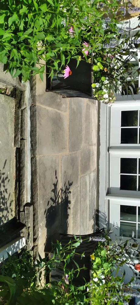 Reliable lawn care service experts serving Cleveland, OH - Pro Scapes