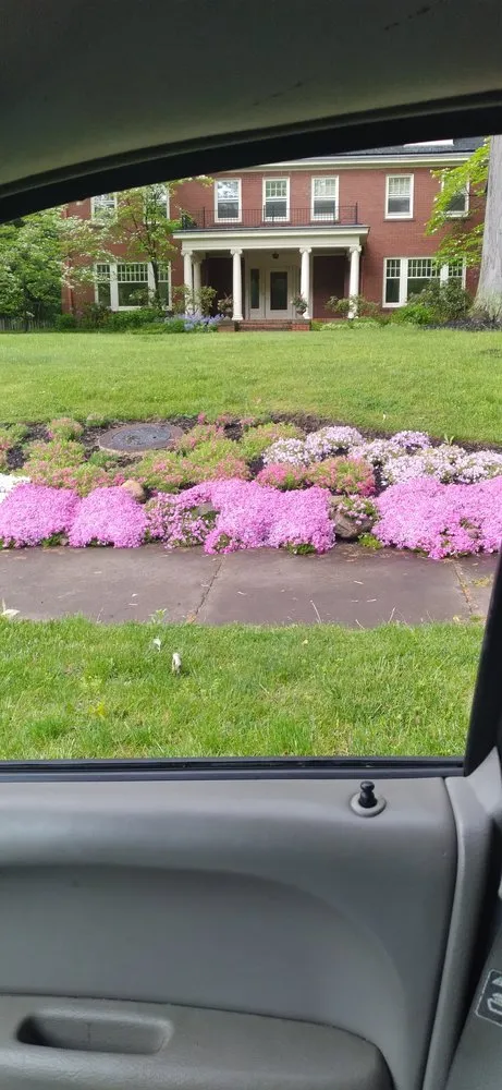 Expert yard cleanup service for outdoor upgrades across Cleveland, OH - Pro Scapes