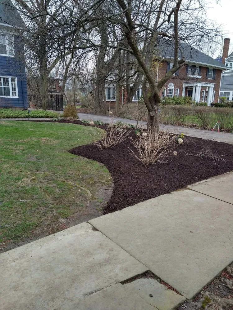 Expert yard maintenance near you across Cleveland, OH - Pro Scapes