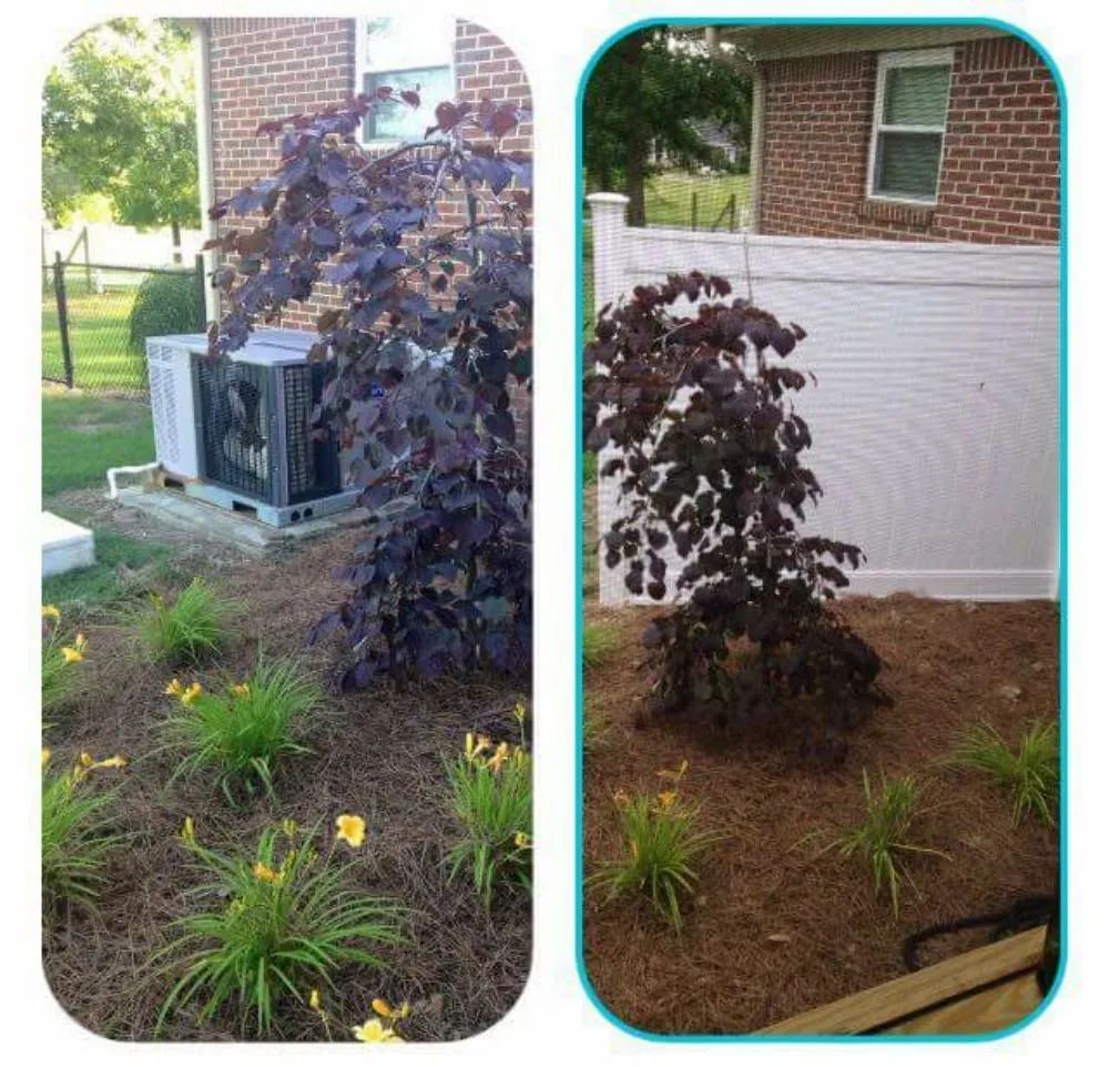 Affordable landscape design in Hartselle, AL by PRO-Scapes