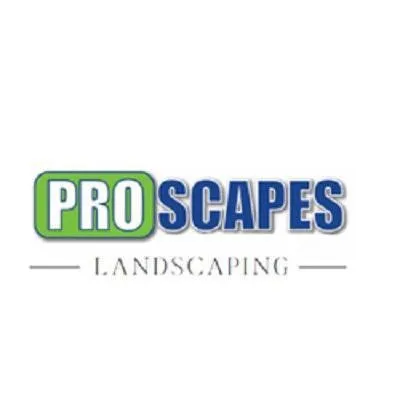 Professional outdoor landscaping for residential properties in New Lenox, IL by Pro-Scapes