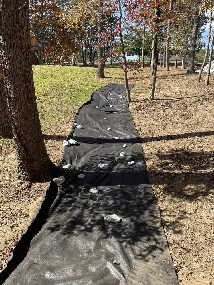 Expert lawn care service near you across Jackson, TN - Pro Seal and Striping