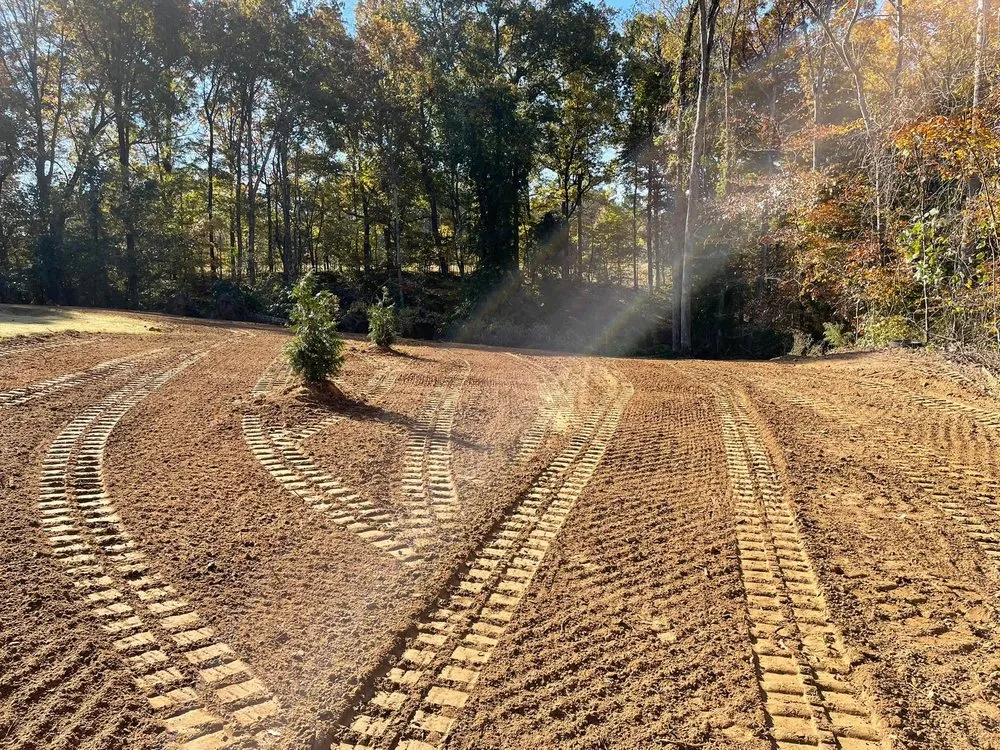 Top-rated lawn care service experts serving Jackson, TN - Pro Seal and Striping