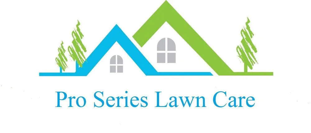Expert yard cleanup service in Conover, NC by Pro Series Lawn Care