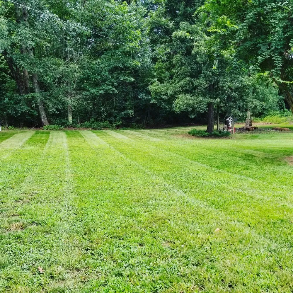 Professional landscape installation in Conover, NC by Pro Series Lawn Care