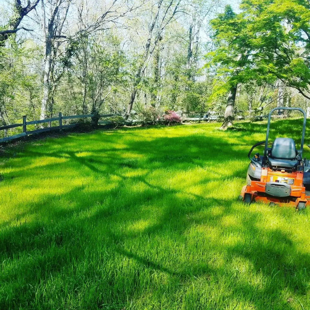 Expert yard maintenance for year-round maintenance across Conover, NC - Pro Series Lawn Care