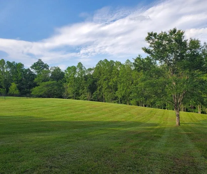 Expert outdoor landscaping experts serving Conover, NC - Pro Series Lawn Care