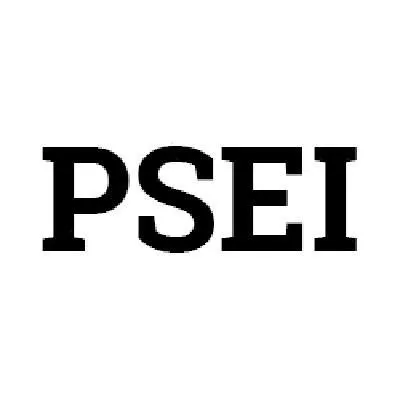 Pro Serv Enterprises Logo