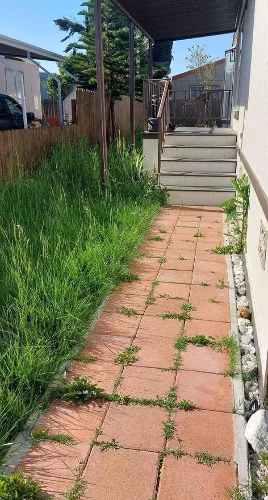 Local yard maintenance in Cypress, CA by Pro Serve Landscapers