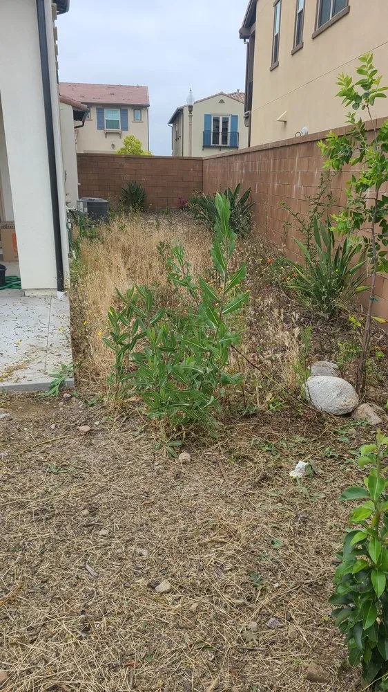 Custom garden landscaping with custom design across Cypress, CA - Pro Serve Landscapers