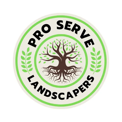 Custom yard maintenance in Cypress, CA by Pro Serve Landscapers