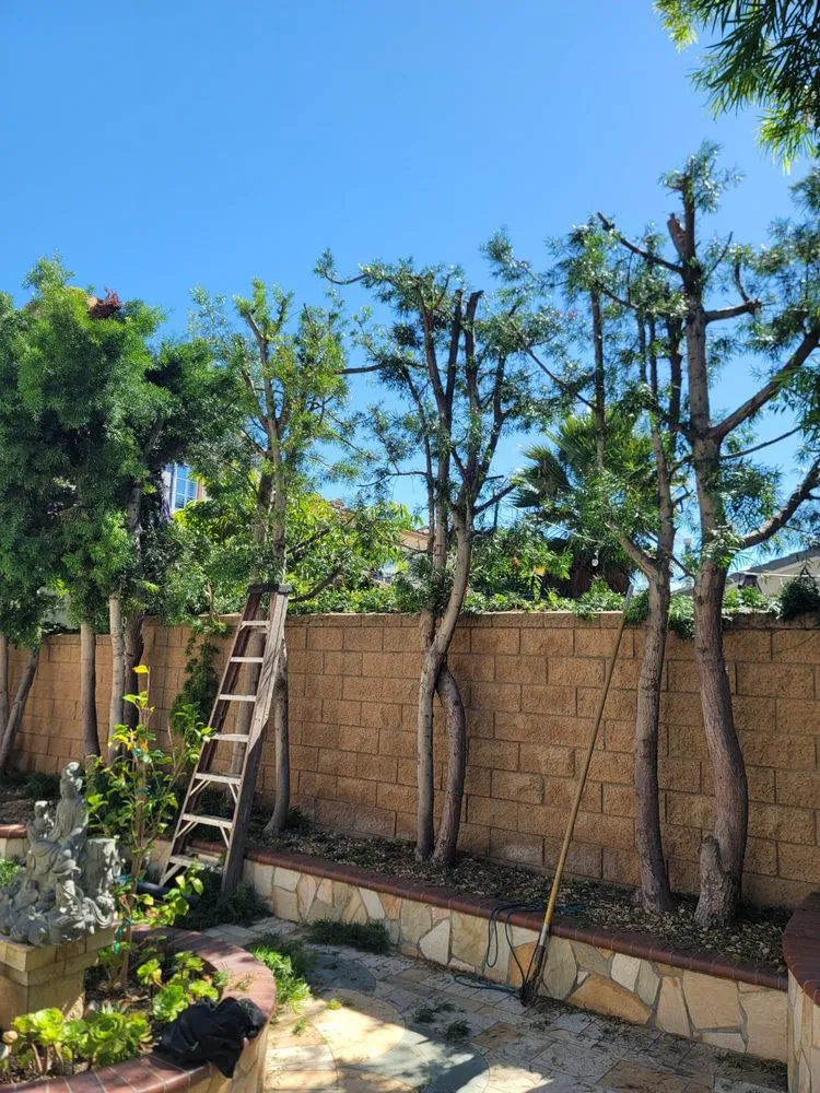 Custom garden landscaping experts serving Cypress, CA - Pro Serve Landscapers