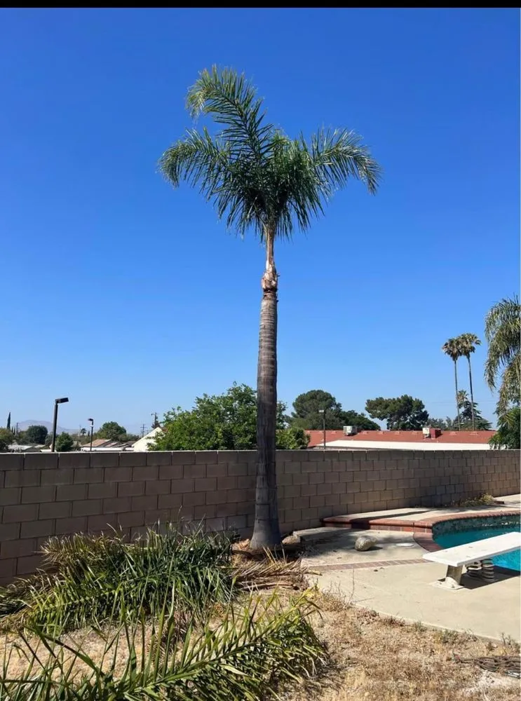 Local garden landscaping for beautiful yards in Cypress, CA by Pro Serve Landscapers