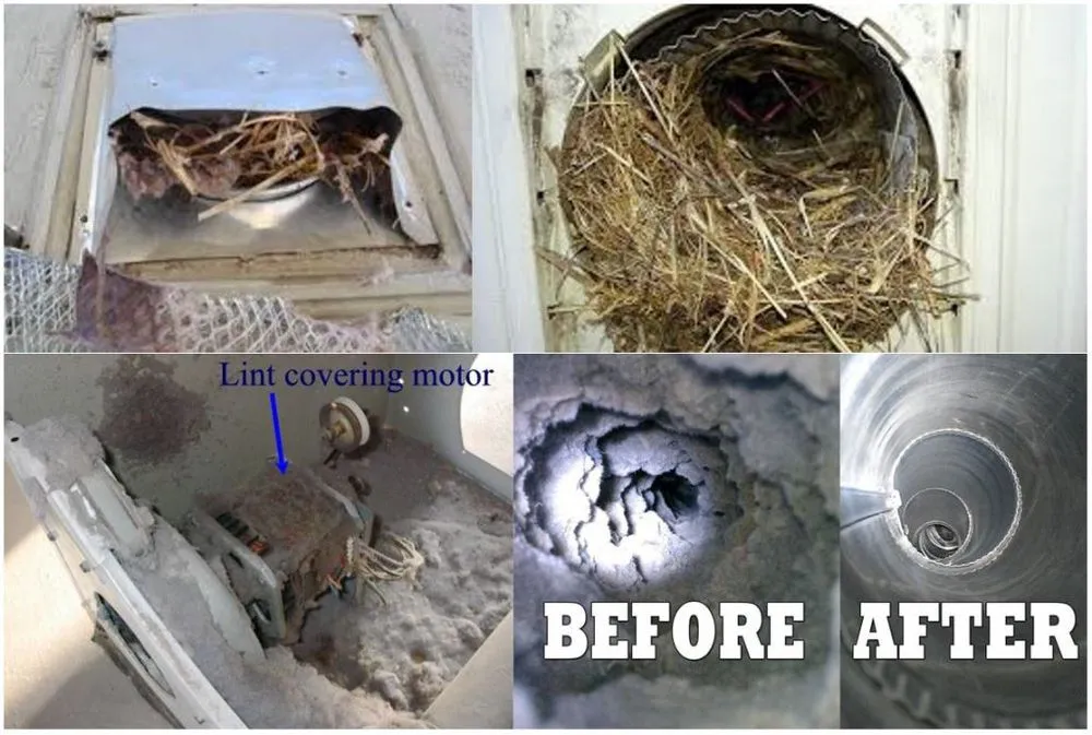 Top-rated lawn mowing service for year-round maintenance in Denham Springs, LA by Pro Serve Solutions