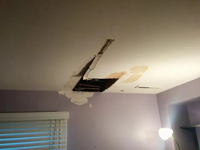 Custom residential landscaping experts serving Denham Springs, LA - Pro Serve Solutions