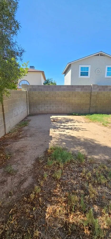 Professional yard cleanup service for homes in Phoenix, AZ by Pro-Service Landscaping & Construction