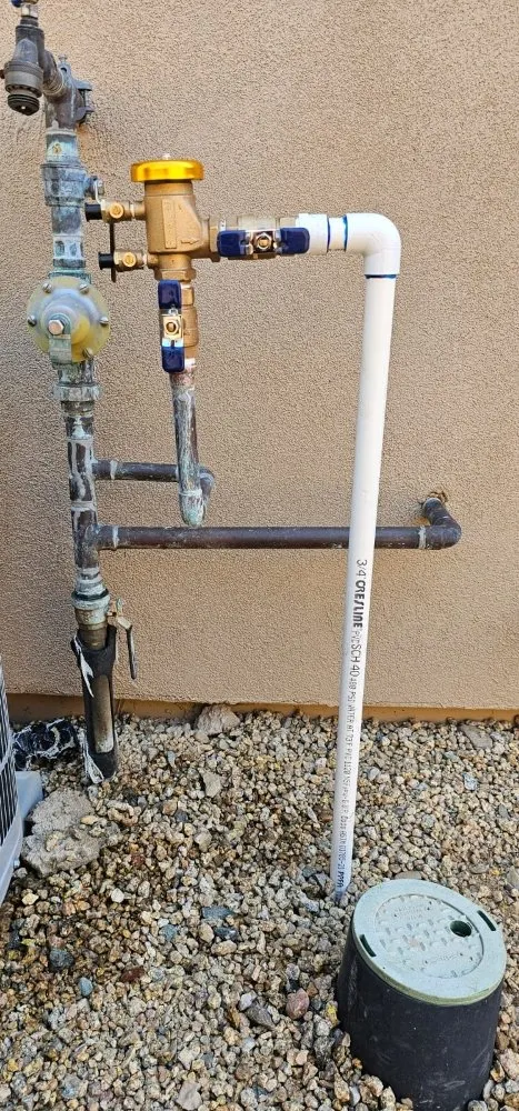 Local landscape installation for year-round maintenance across Phoenix, AZ - Pro-Service Landscaping & Construction