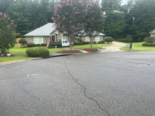 Pro Services Lawn Care & Maintenance Logo